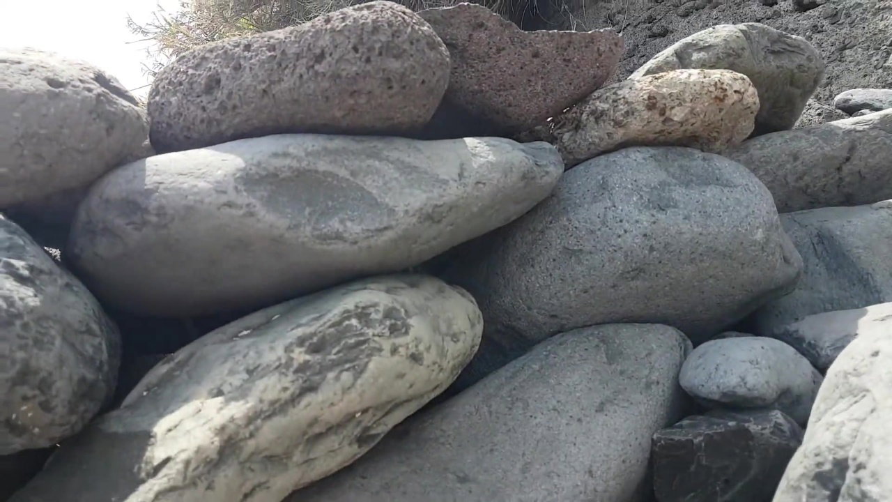 2020 Beach girls videos vol .142_cb69b2a0