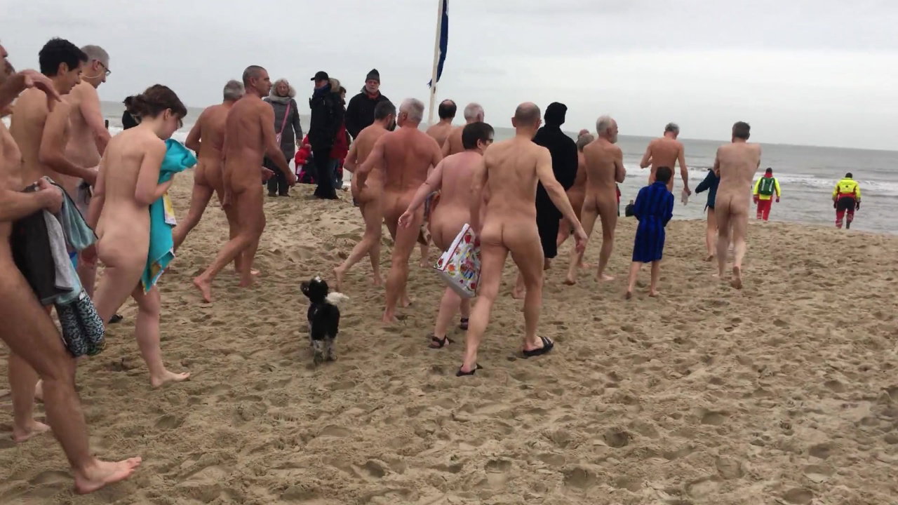 Dva Doggystyle in the Beach Overwatch_e149ce22