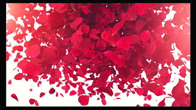 katy sky morning in studio premium