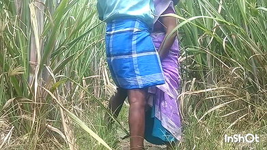 Indian Outdoor Sex