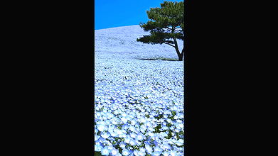 meenu  hot tango premium show