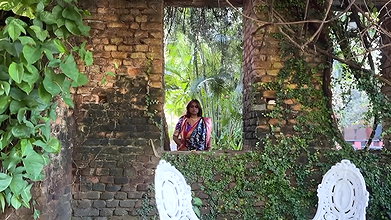 Bulbul – Oasi Das 2