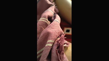 Indian hot Bhabhi Ass Fucked and Sucked My Desi