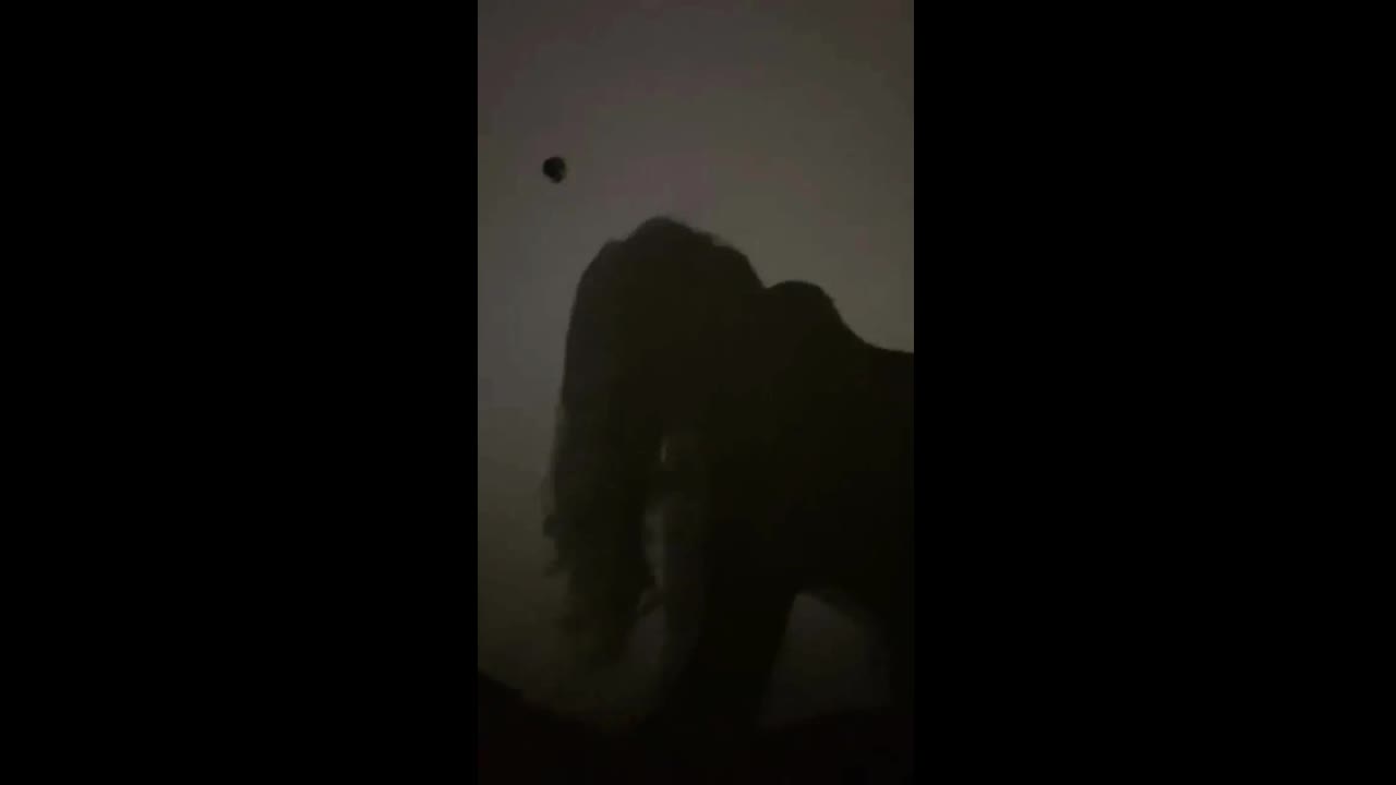 Shadow sex mallu girl and boyfriend